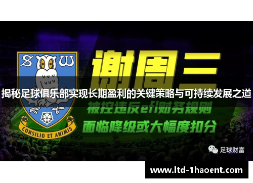 揭秘足球俱乐部实现长期盈利的关键策略与可持续发展之道