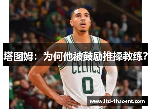 塔图姆：为何他被鼓励推搡教练？