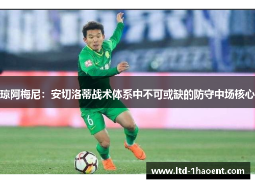 琼阿梅尼:安切洛蒂战术体系中不可或缺的防守中场核心