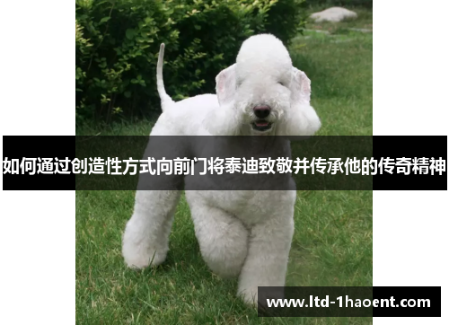 如何通过创造性方式向前门将泰迪致敬并传承他的传奇精神