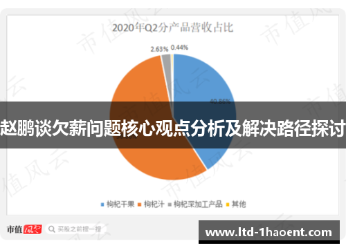 赵鹏谈欠薪问题核心观点分析及解决路径探讨
