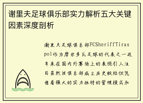 谢里夫足球俱乐部实力解析五大关键因素深度剖析