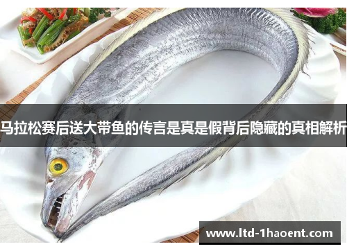 马拉松赛后送大带鱼的传言是真是假背后隐藏的真相解析