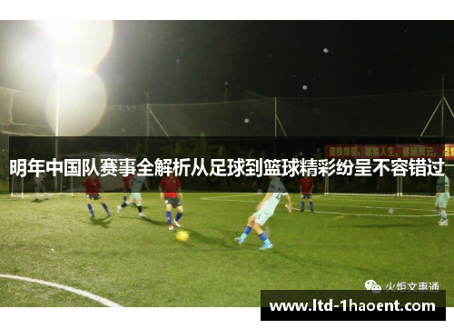 明年中国队赛事全解析从足球到篮球精彩纷呈不容错过