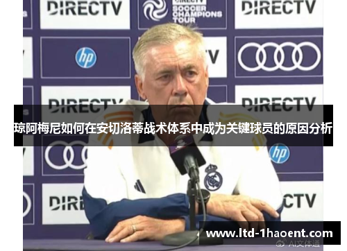 琼阿梅尼如何在安切洛蒂战术体系中成为关键球员的原因分析