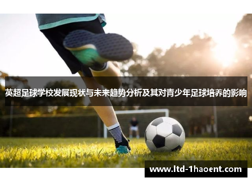 英超足球学校发展现状与未来趋势分析及其对青少年足球培养的影响