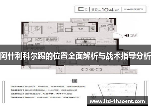 阿什利科尔踢的位置全面解析与战术指导分析